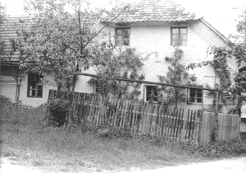 eika image